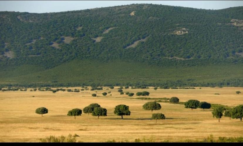 Chalet Dani Con Parcela Privada A 8Min De Puy Du Fou Argés Εξωτερικό φωτογραφία